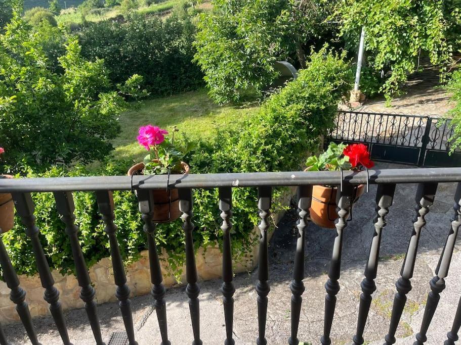Casa A Boga Ribeira Sacra Villa Abeleda Exterior foto