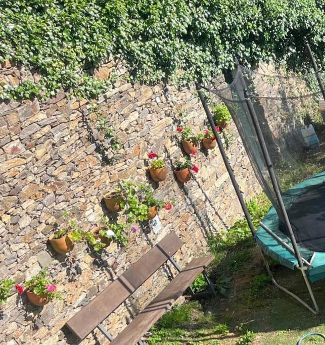 Casa A Boga Ribeira Sacra Villa Abeleda Exterior foto