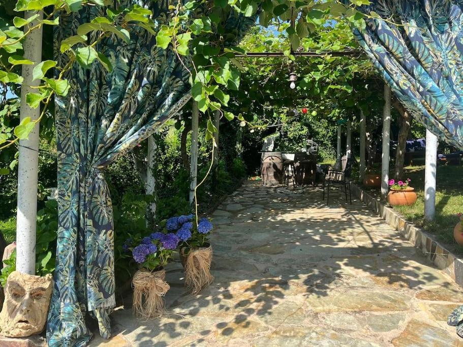 Casa A Boga Ribeira Sacra Villa Abeleda Exterior foto