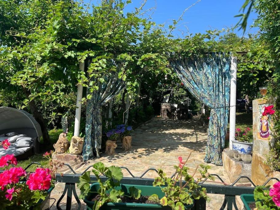 Casa A Boga Ribeira Sacra Villa Abeleda Exterior foto